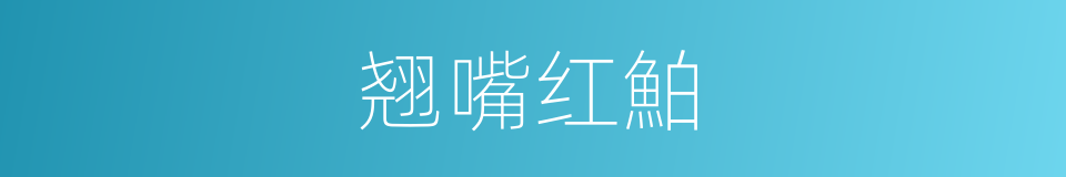 翘嘴红鮊的同義詞