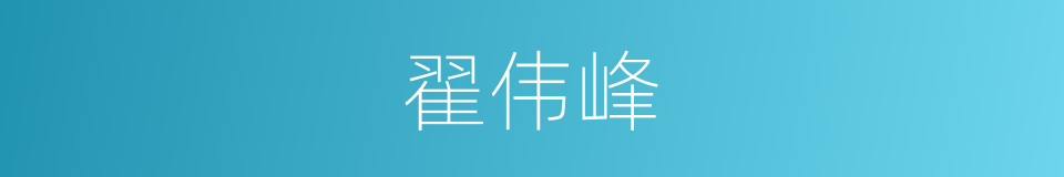 翟伟峰的同义词