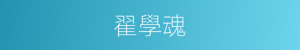 翟學魂的同義詞