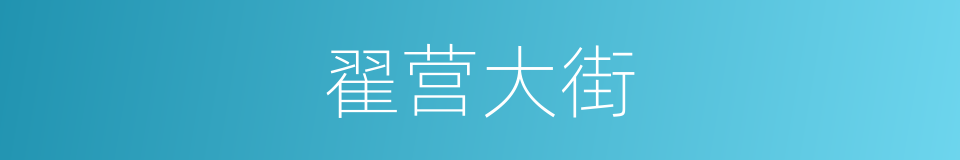 翟营大街的同义词