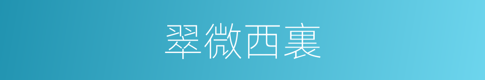 翠微西裏的同義詞