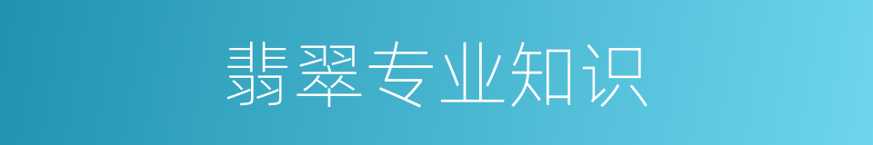 翡翠专业知识的同义词