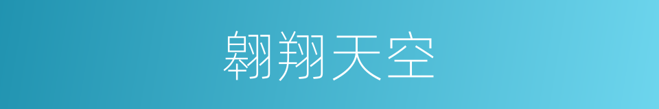 翱翔天空的同义词