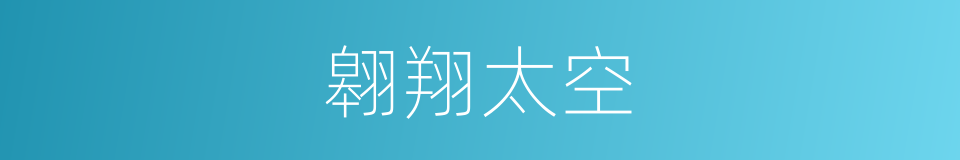 翱翔太空的同义词