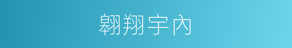 翱翔宇內的同義詞