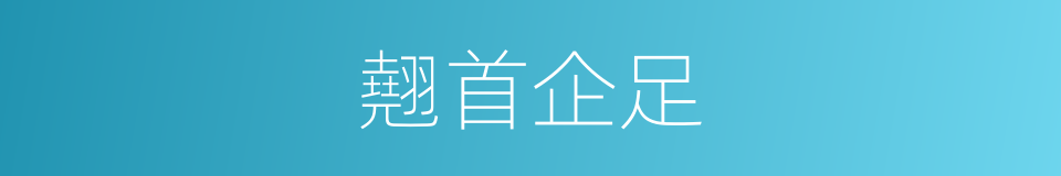 翹首企足的意思