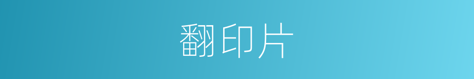 翻印片的同义词