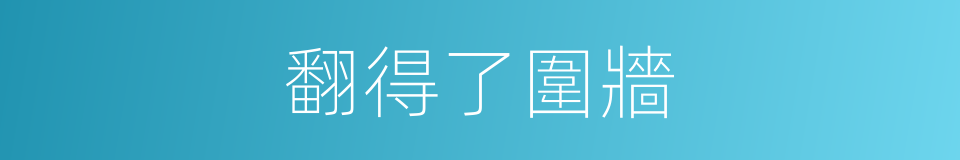 翻得了圍牆的同義詞