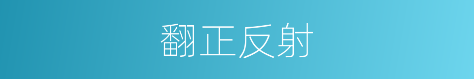 翻正反射的同义词