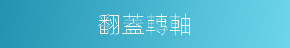 翻蓋轉軸的同義詞