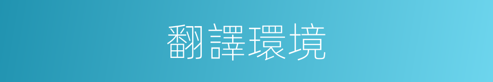 翻譯環境的同義詞