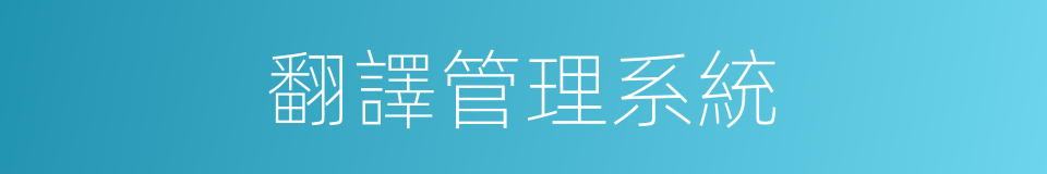 翻譯管理系統的同義詞