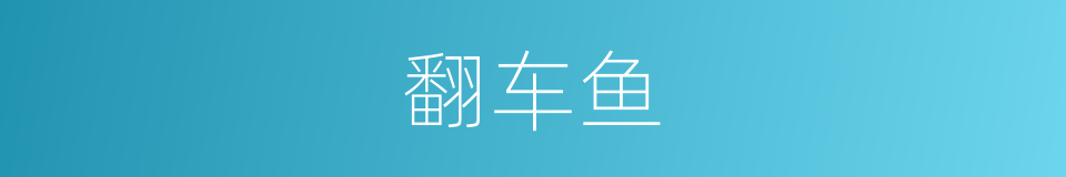 翻车鱼的意思
