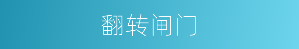 翻转闸门的同义词