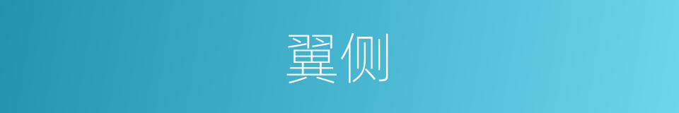 翼侧的意思