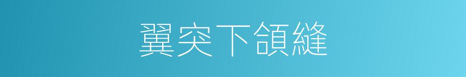 翼突下頜縫的同義詞