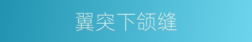 翼突下颌缝的同义词