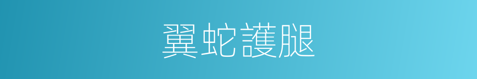 翼蛇護腿的同義詞