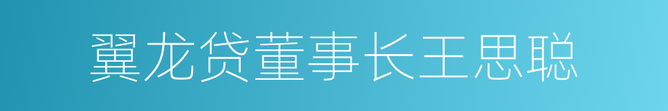 翼龙贷董事长王思聪的同义词