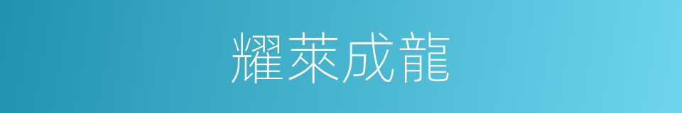 耀萊成龍的同義詞