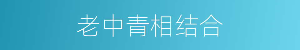 老中青相结合的同义词