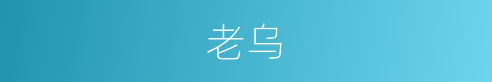 老乌的同义词