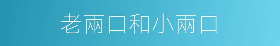 老兩口和小兩口的同義詞