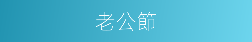 老公節的同義詞