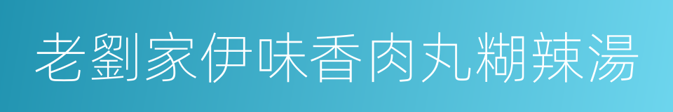 老劉家伊味香肉丸糊辣湯的同義詞