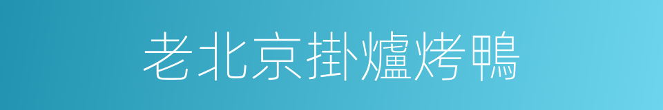 老北京掛爐烤鴨的同義詞