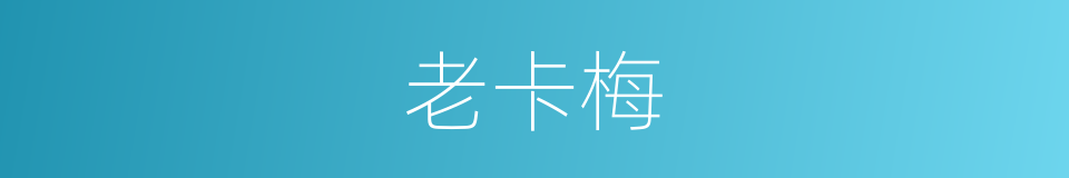 老卡梅的同义词