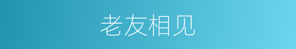 老友相见的同义词