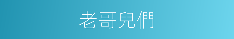 老哥兒們的意思