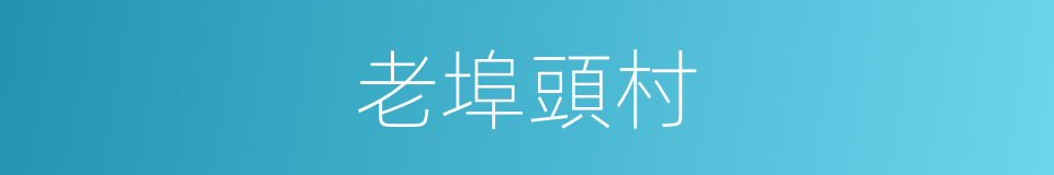 老埠頭村的同義詞