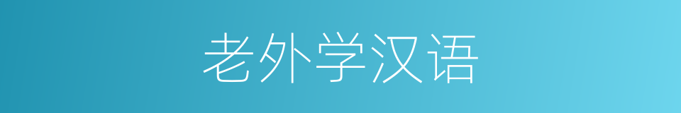 老外学汉语的同义词