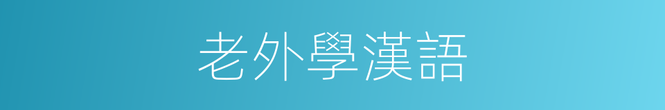 老外學漢語的同義詞