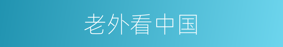 老外看中国的同义词