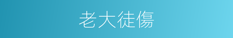 老大徒傷的意思
