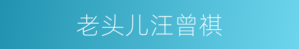 老头儿汪曾祺的同义词