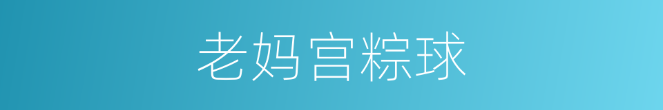 老妈宫粽球的同义词