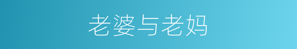 老婆与老妈的同义词