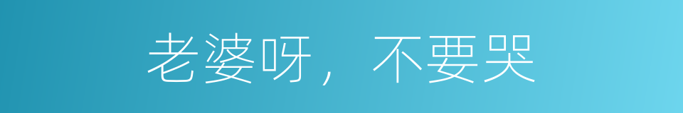 老婆呀，不要哭的同义词