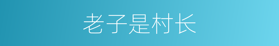 老子是村长的同义词