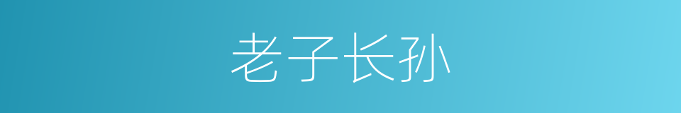 老子长孙的意思