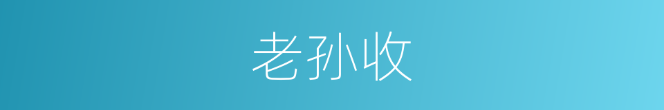 老孙收的同义词