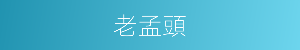 老孟頭的同義詞