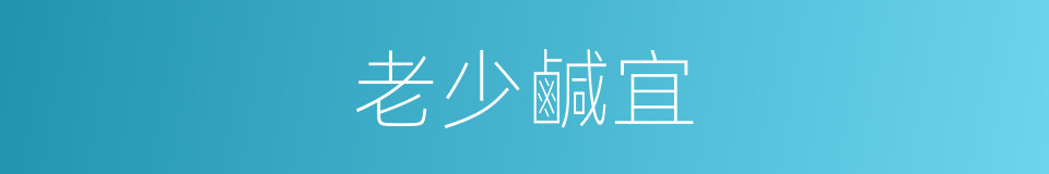 老少鹹宜的意思