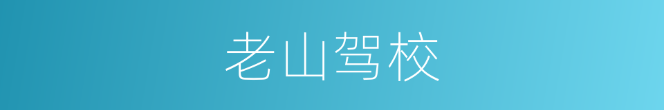 老山驾校的同义词