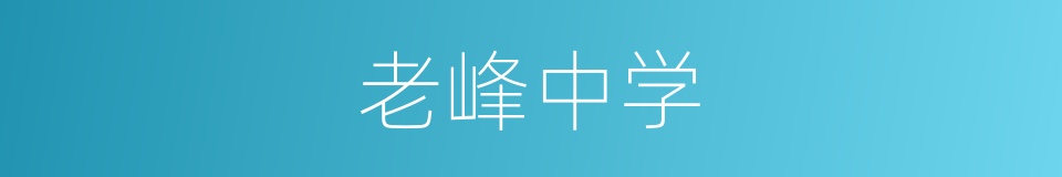 老峰中学的同义词
