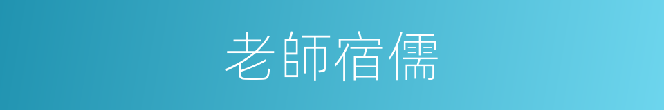 老師宿儒的意思